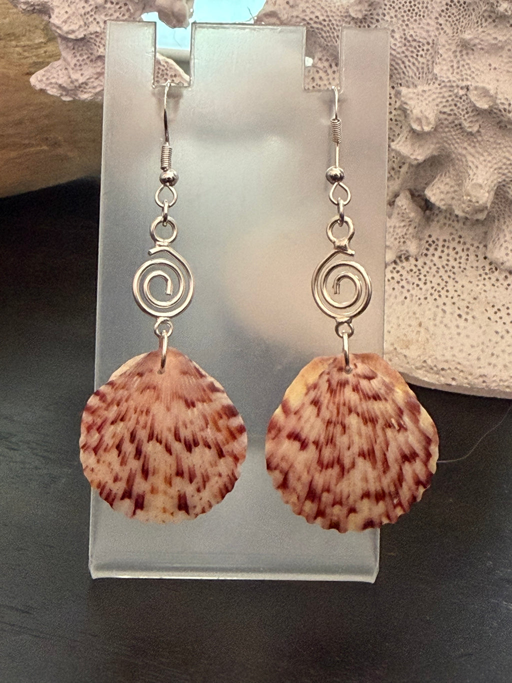 Spiral Tide – Bold Scallop Shell & Silver Spiral Charm Earrings on Silver Ear Wires
