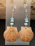 Blue Opal Shore – Scallop Shell & Sky Blue Opal Earrings on Silver Ear Wires
