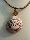 Bronze Drift Shores – Smooth Cockle Shell Necklace on Bronze Bead Chain