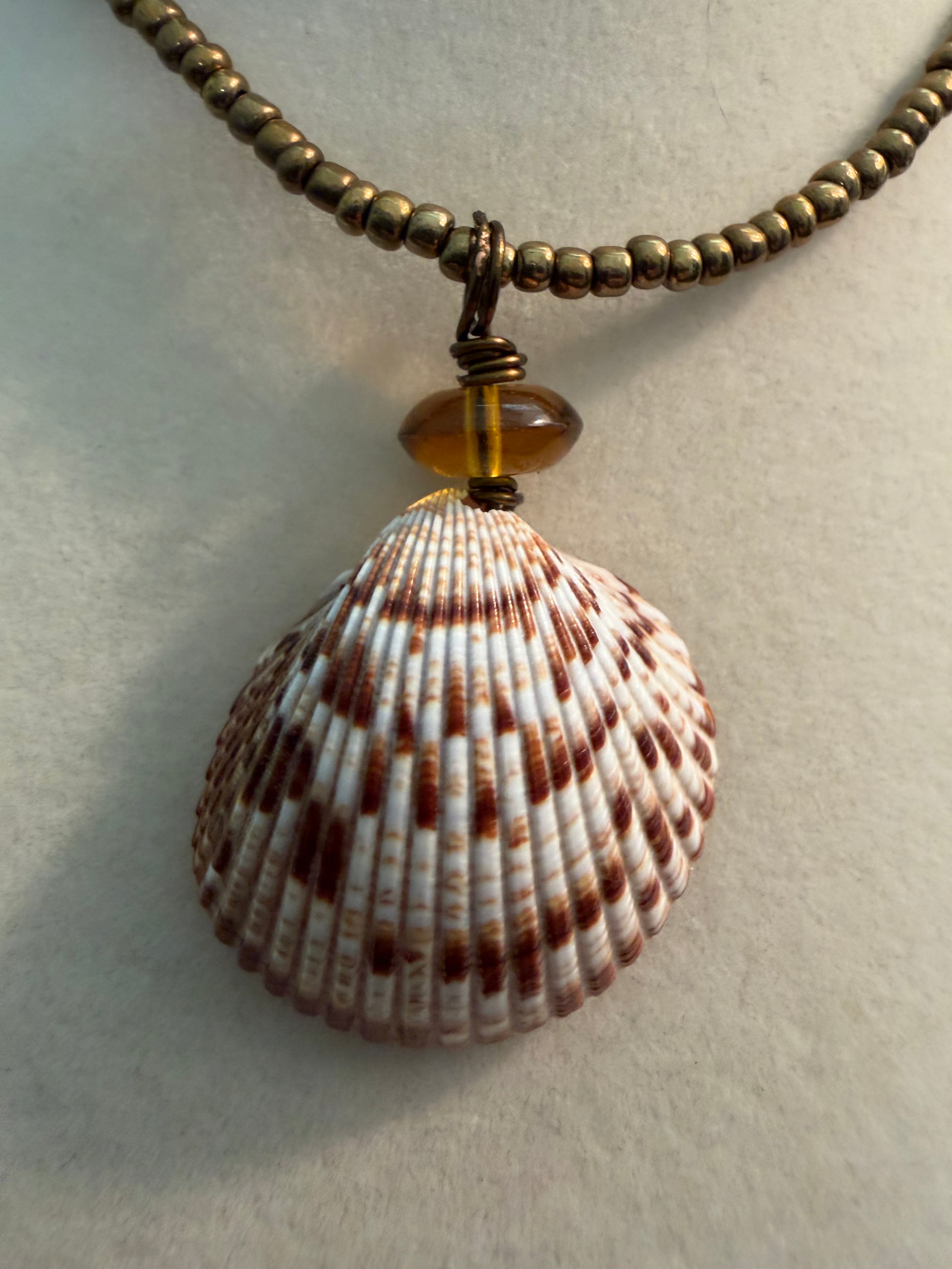 Bronze Drift Shores – Smooth Cockle Scallop Shell Necklace on Bronze Bead Chain
