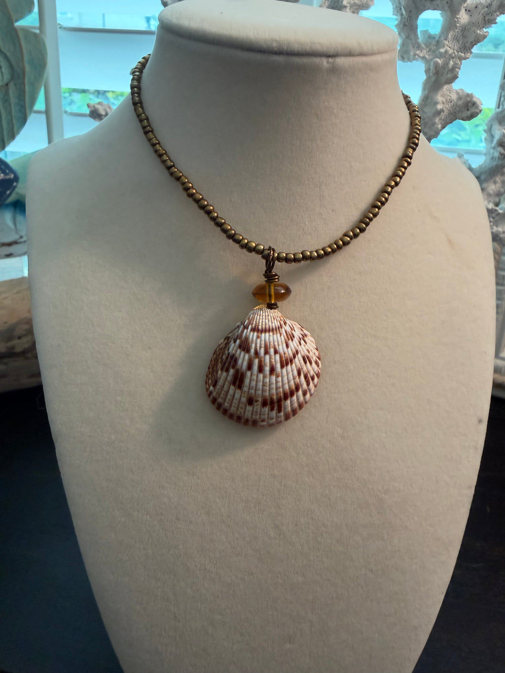 Bronze Drift Shores – Smooth Cockle Shell Necklace on Bronze Bead Chain