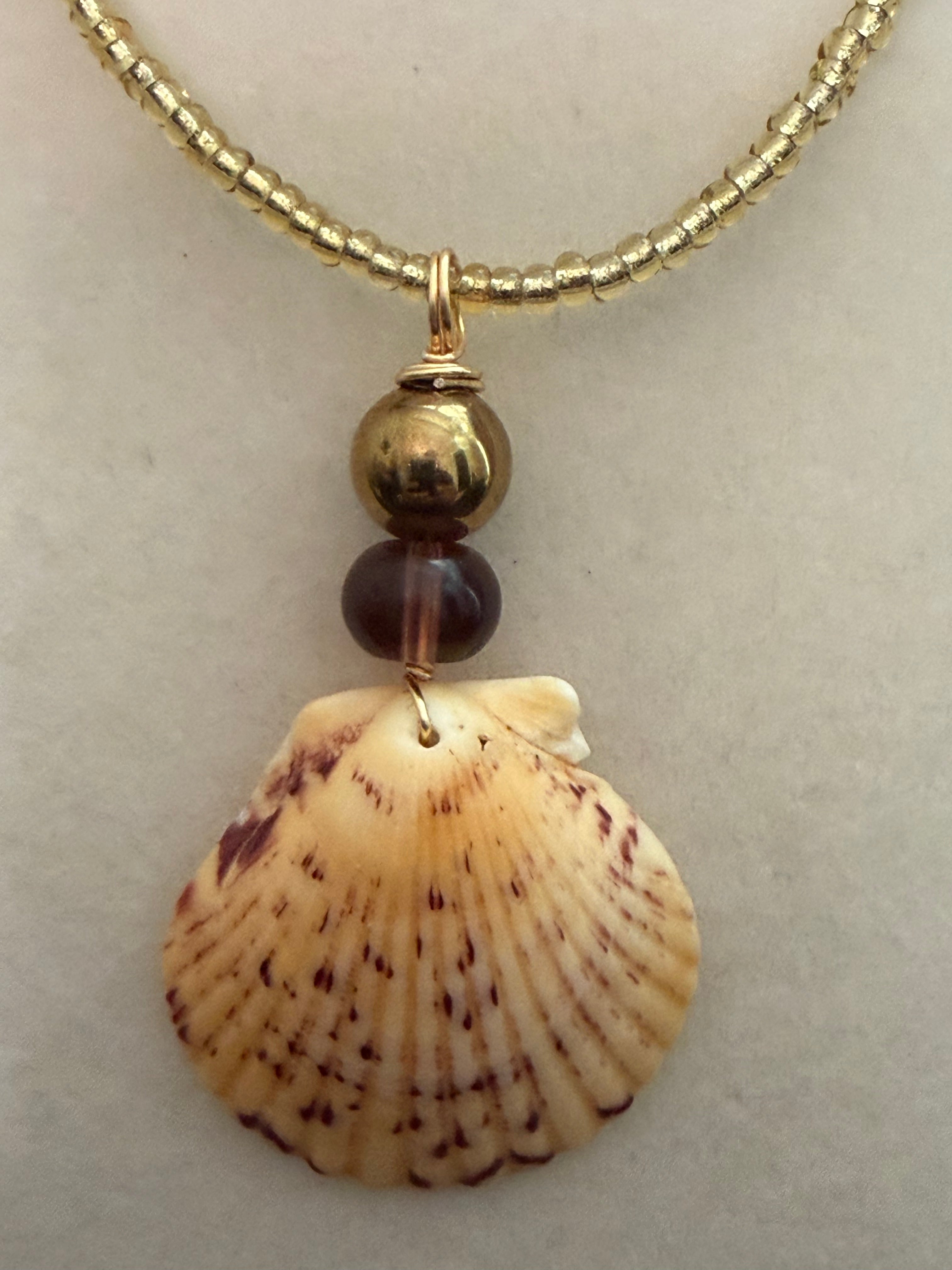 Golden Dusk Calico Scallop Shell Necklace