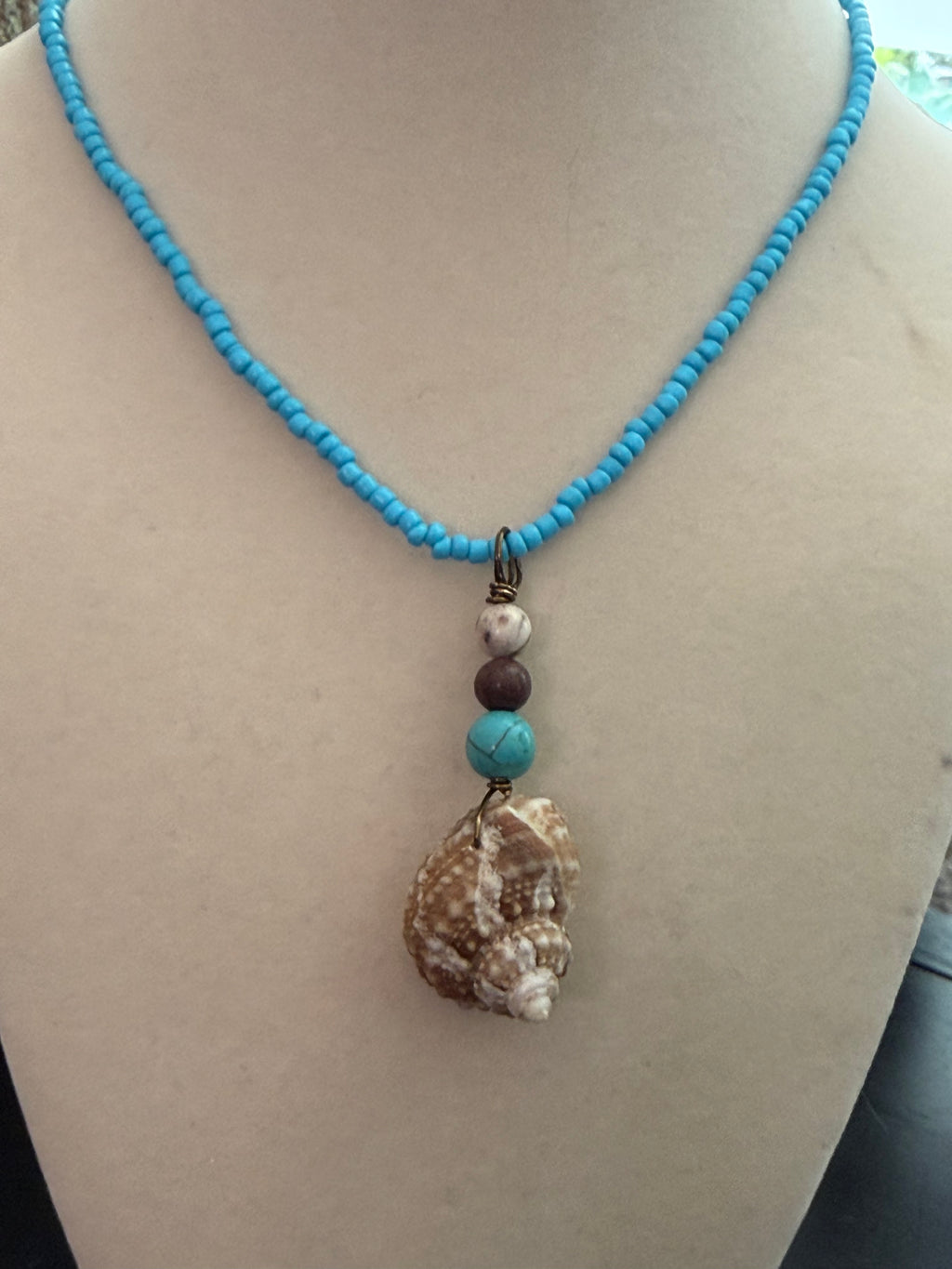 Turquoise Seashores – Chestnut Turban Shell Necklace on Sky Blue Bead Chain