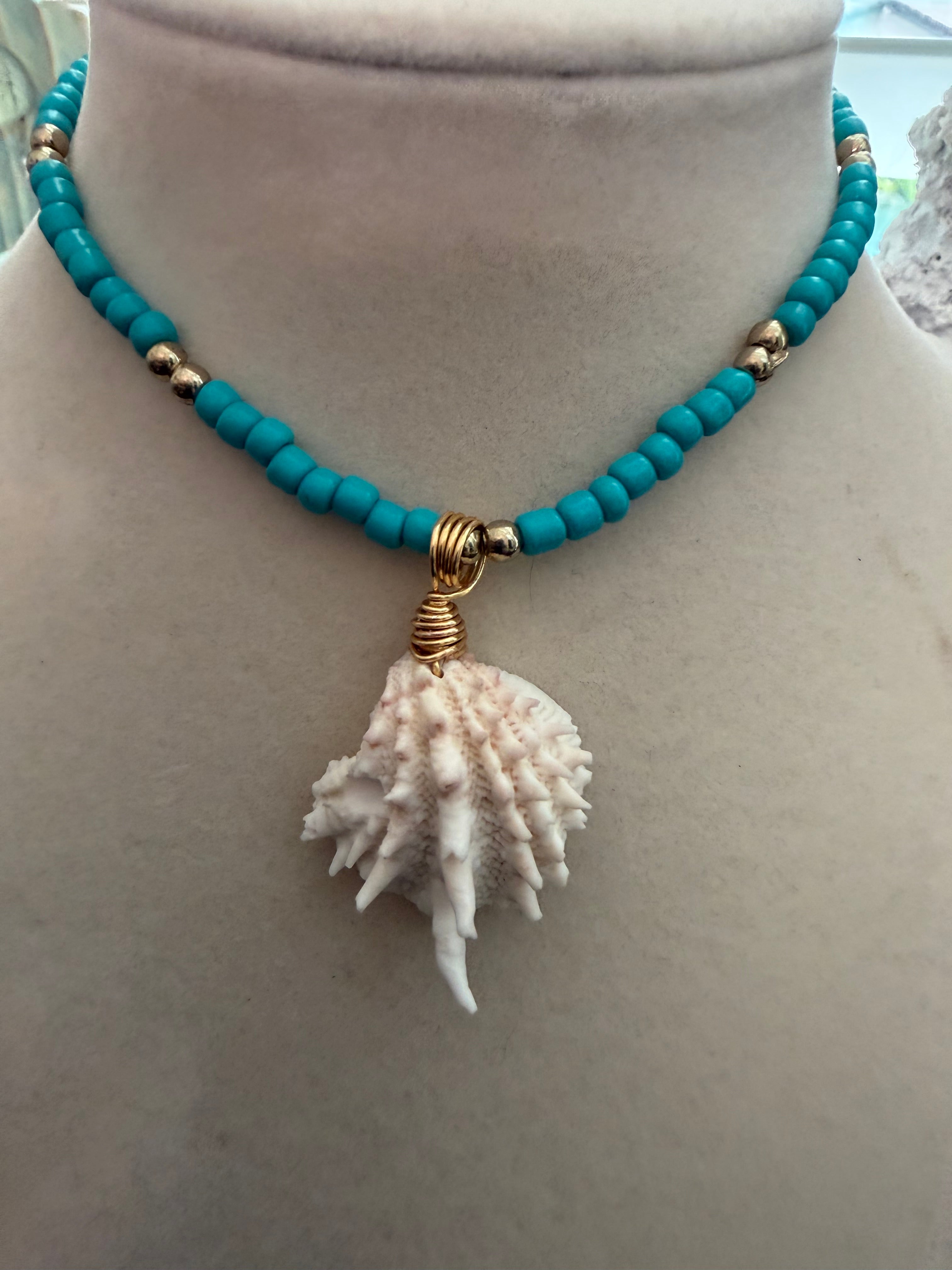 Blue by Storm – Spiny Jewelbox Shell & Turquoise Beaded Necklace