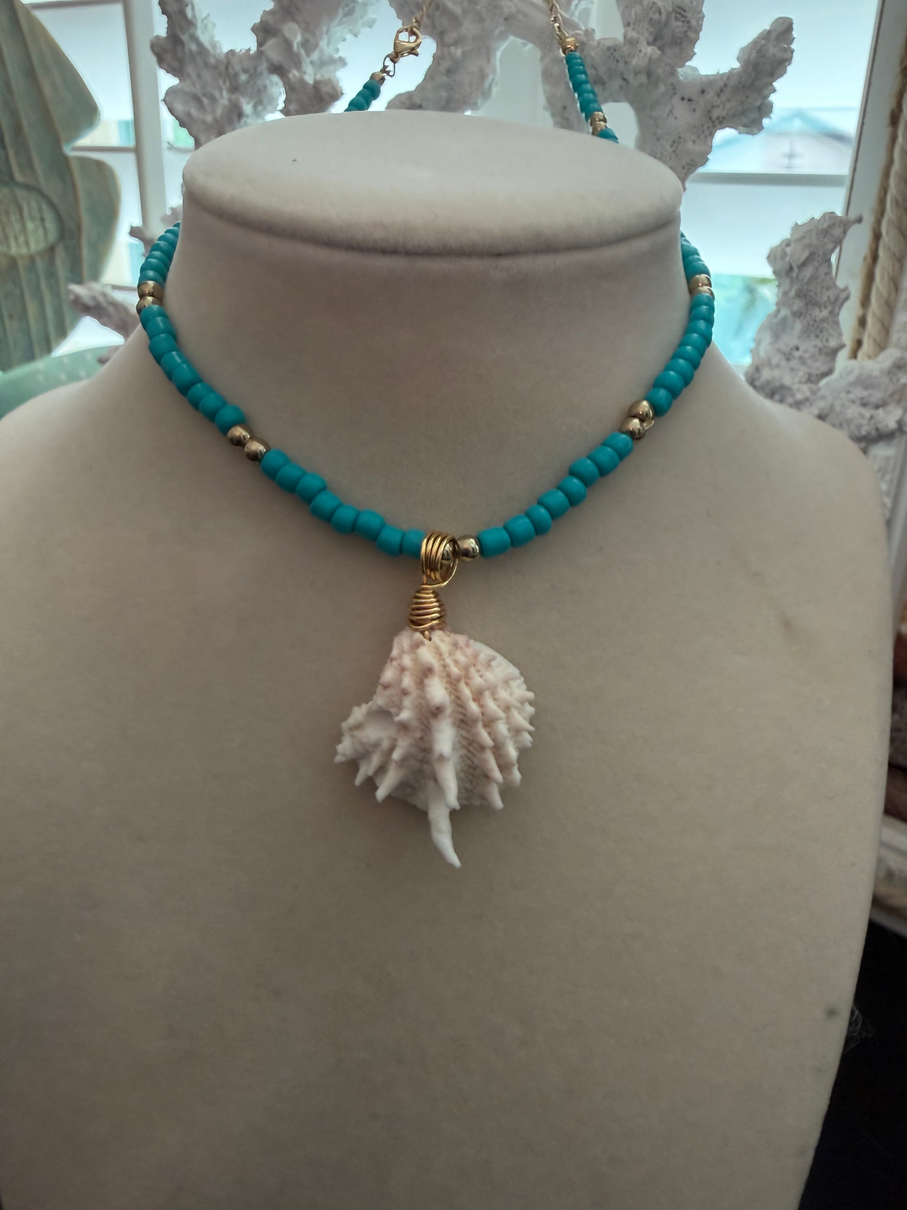 Blue by Storm – Spiny Jewelbox Shell & Turquoise Beaded Necklace