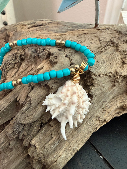Blue by Storm – Spiny Jewelbox Shell & Turquoise Beaded Necklace