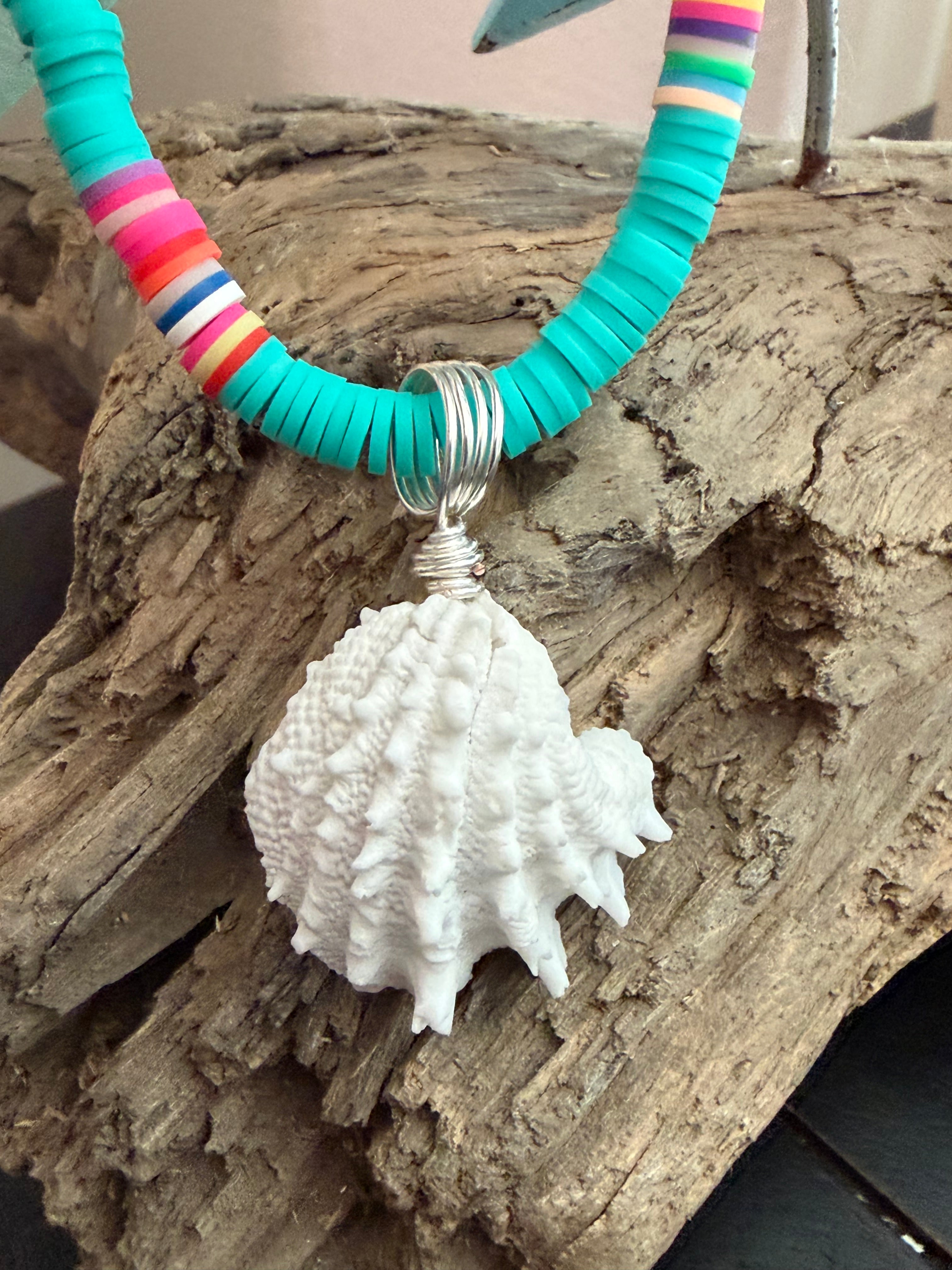 Brine & Bone – Spiny Jewel Box Shell Necklace on Teal Silicone Bead Chain