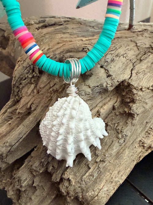Brine & Bone – Spiny Jewel Box Shell Necklace on Teal Silicone Bead Chain