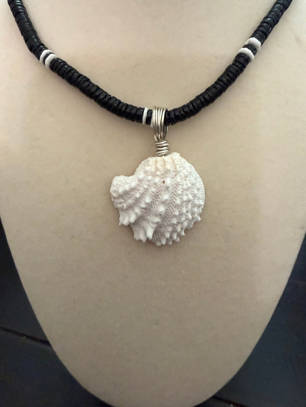 Sea Warden Shore – Spiny Jewel Box Shell Necklace on Black Coconut Bead Chain