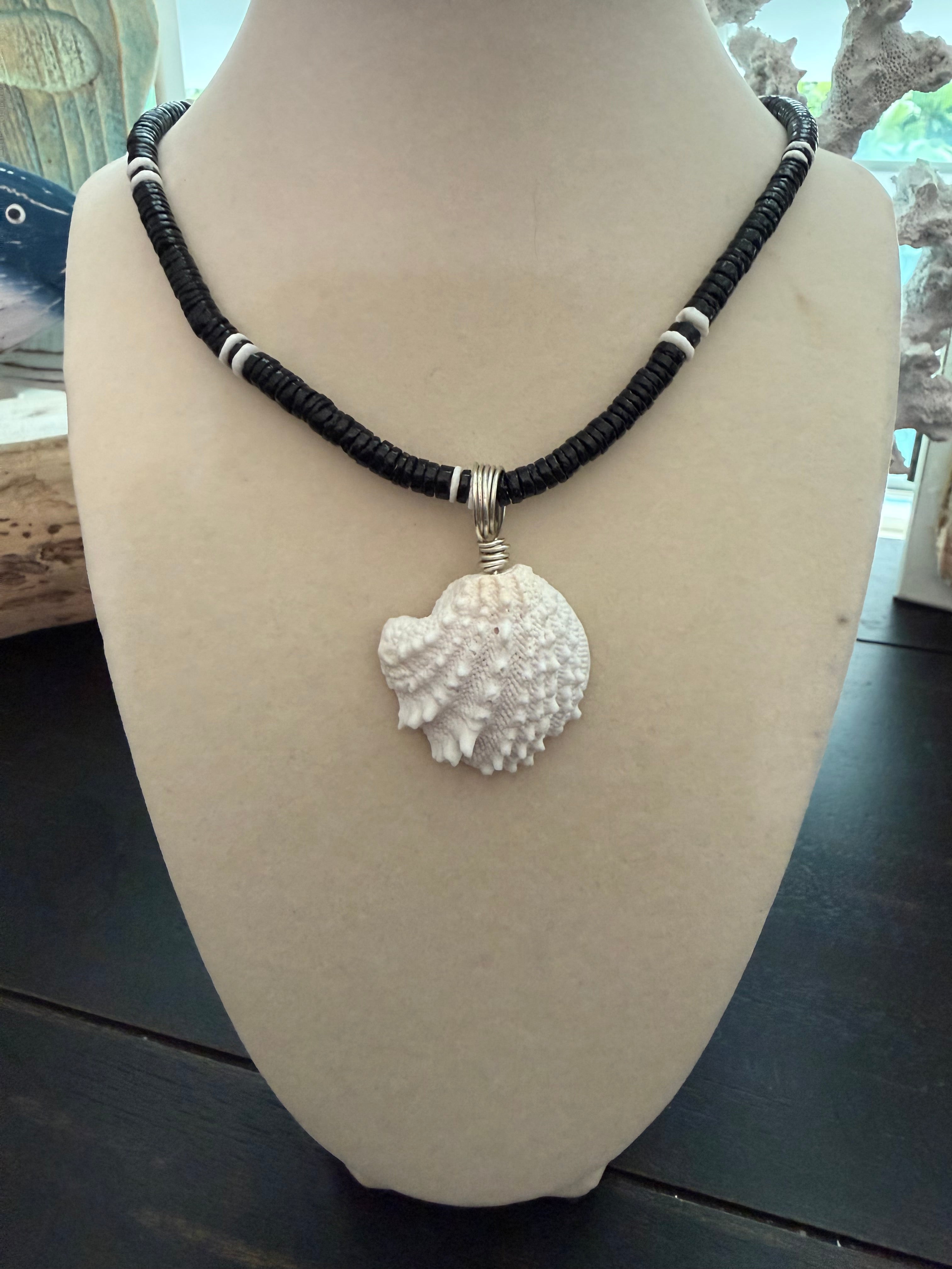 Sea Warden Shore – Spiny Jewel Box Shell Necklace on Black Coconut Bead Chain