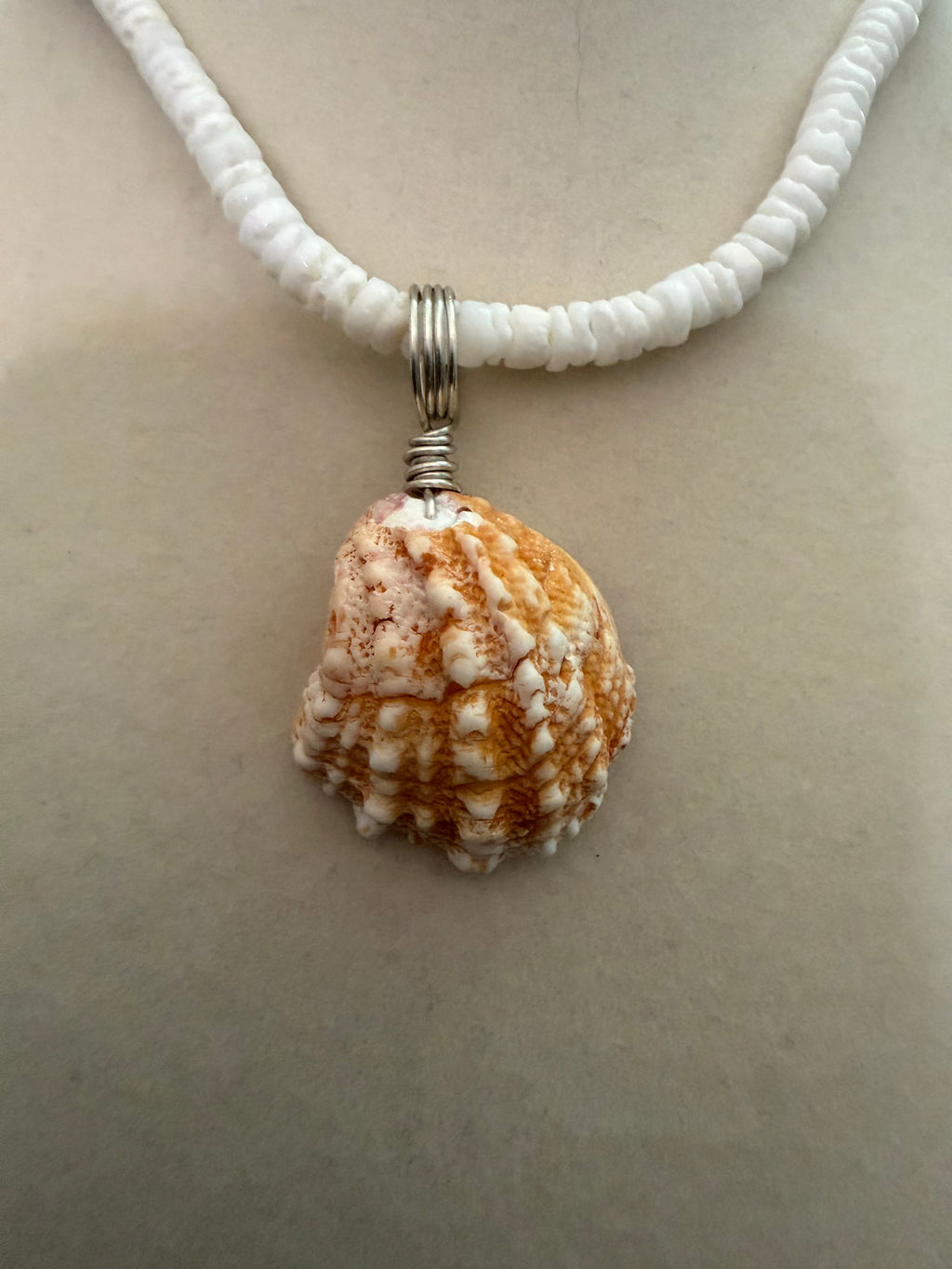 Burnt Sunset – Spiny Jewelbox Shell Necklace on White Puka Bead Chain