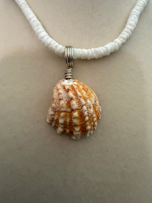 Burnt Sunset – Spiny Jewelbox Shell Necklace on White Puka Bead Chain