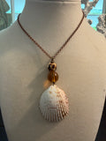Pristine Shores – Prickly Cockle Shell & Amber Necklace on Antique Copper Chain