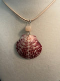Tidepetal – Calico Scallop Shell Necklace on Cream Waxed Cord