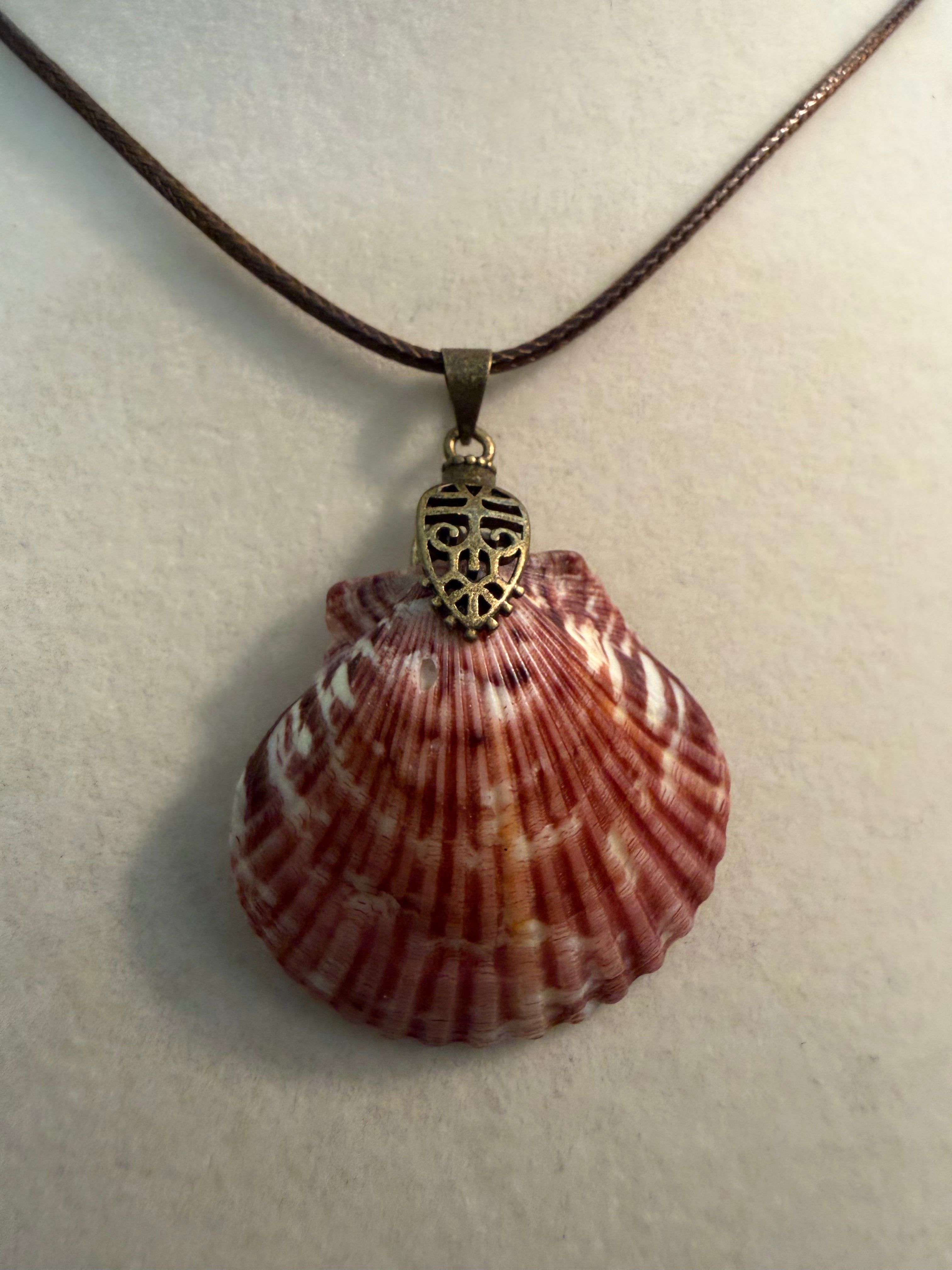 Rustic Waves – Calico Scallop Shell Necklace on Braided Brown Cord