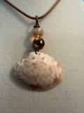 Clamstress Clam – Calico Clam Shell & Champagne Crystal Necklace on Brown Waxed Cord