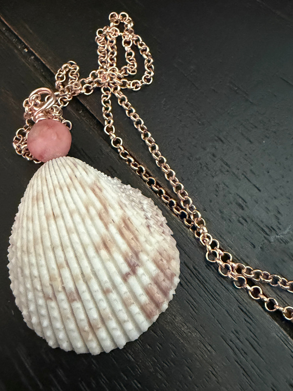 Shorebound Echo – Dual-Sided Cockle Necklace