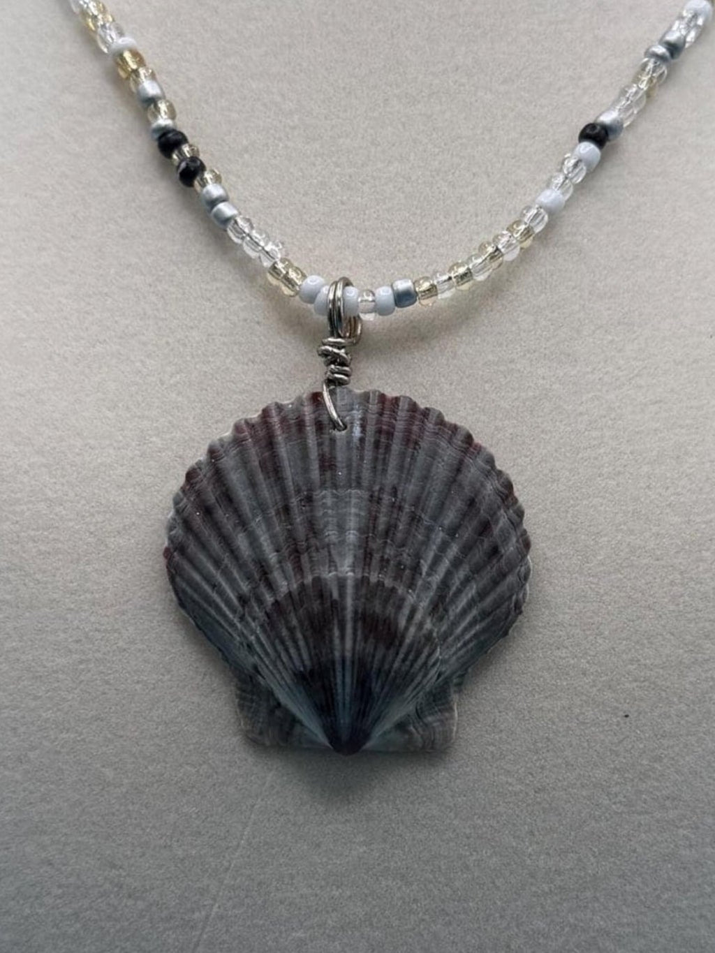 Real scallop shell necklace costal Florida vibe