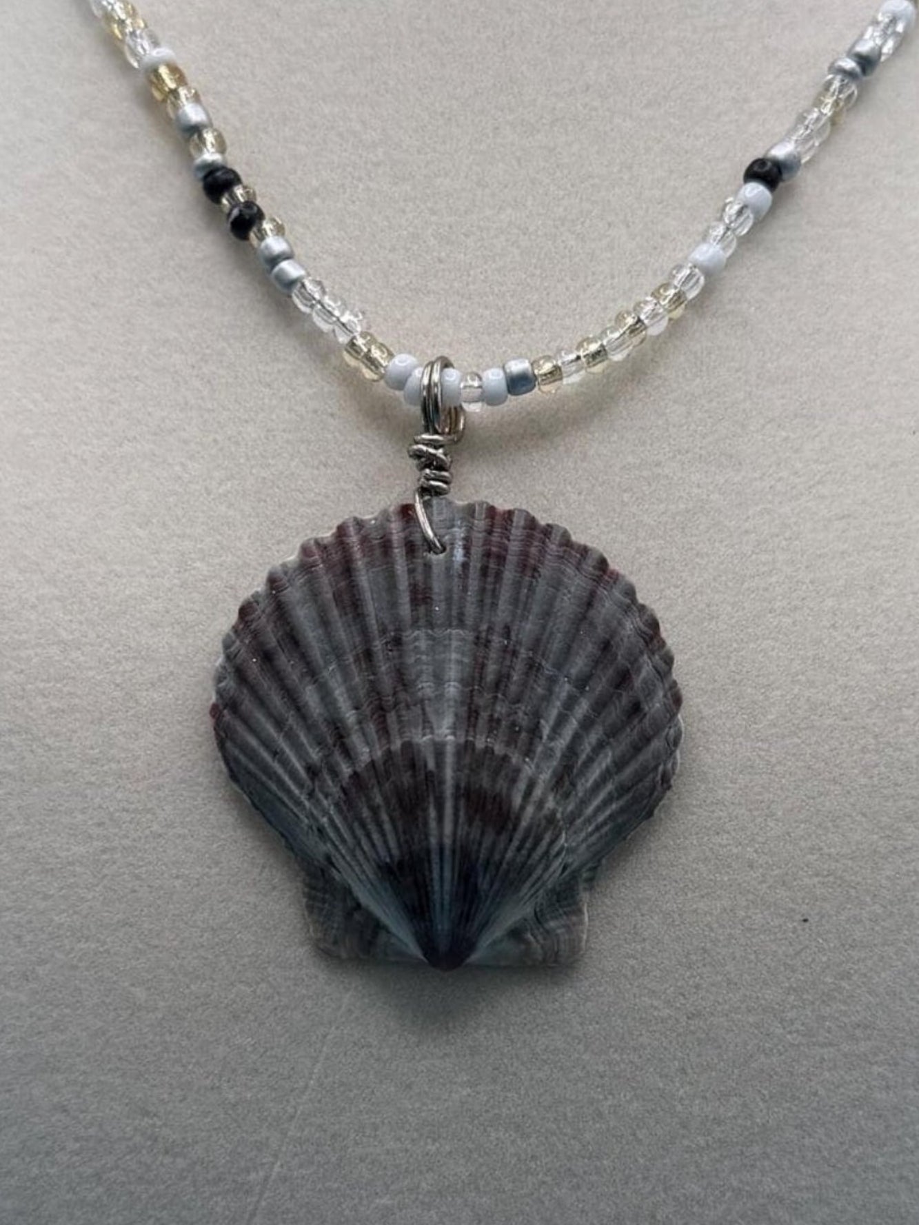Real scallop shell necklace costal Florida vibe