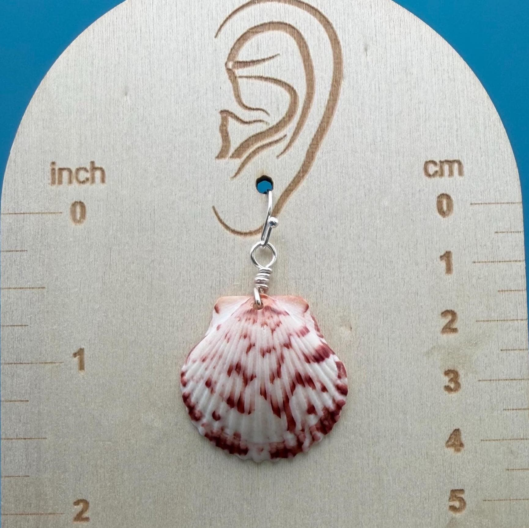 Handmade Scallop Shell Earrings | Florida Beach Jewelry, Ocean Inspired Keepsakes