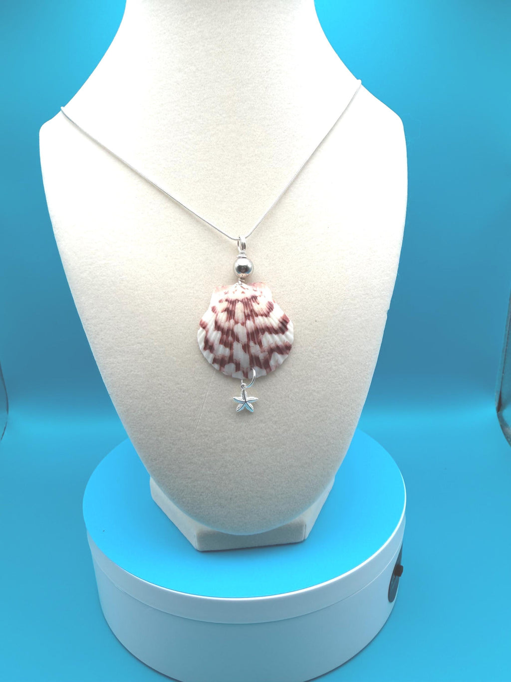 Real Calico Scallop Shell Necklace Handmade Florida Coastal Beach Gift Ocean Jewelry Sterling Silver