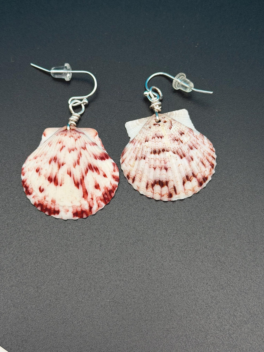 Handmade Scallop Shell Earrings | Florida Beach Jewelry, Ocean Inspired Keepsakes