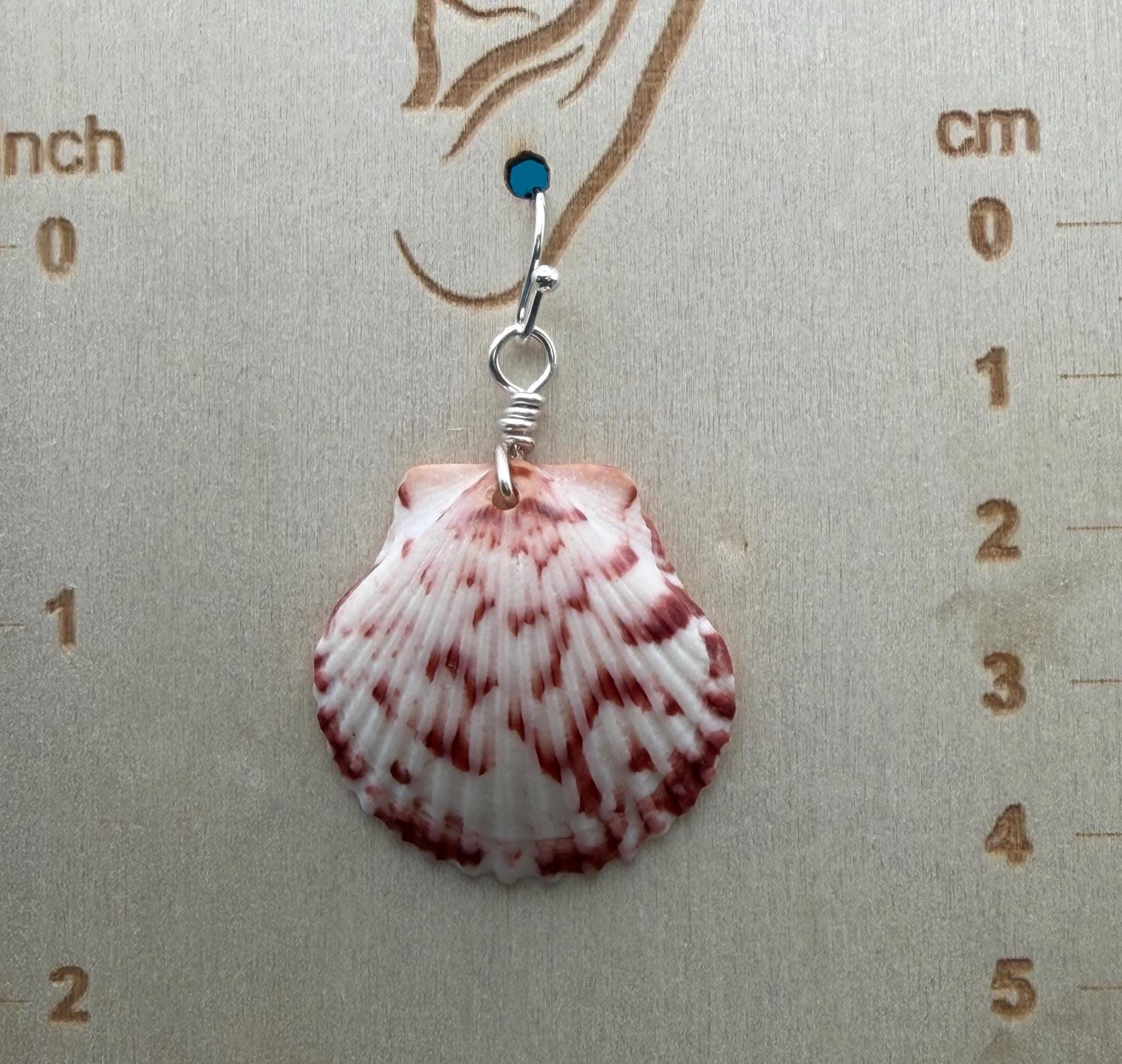 Handmade Scallop Shell Earrings | Florida Beach Jewelry, Ocean Inspired Keepsakes