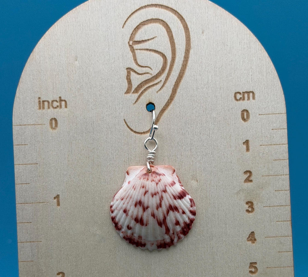 Handmade Scallop Shell Earrings | Florida Beach Jewelry, Ocean Inspired Keepsakes