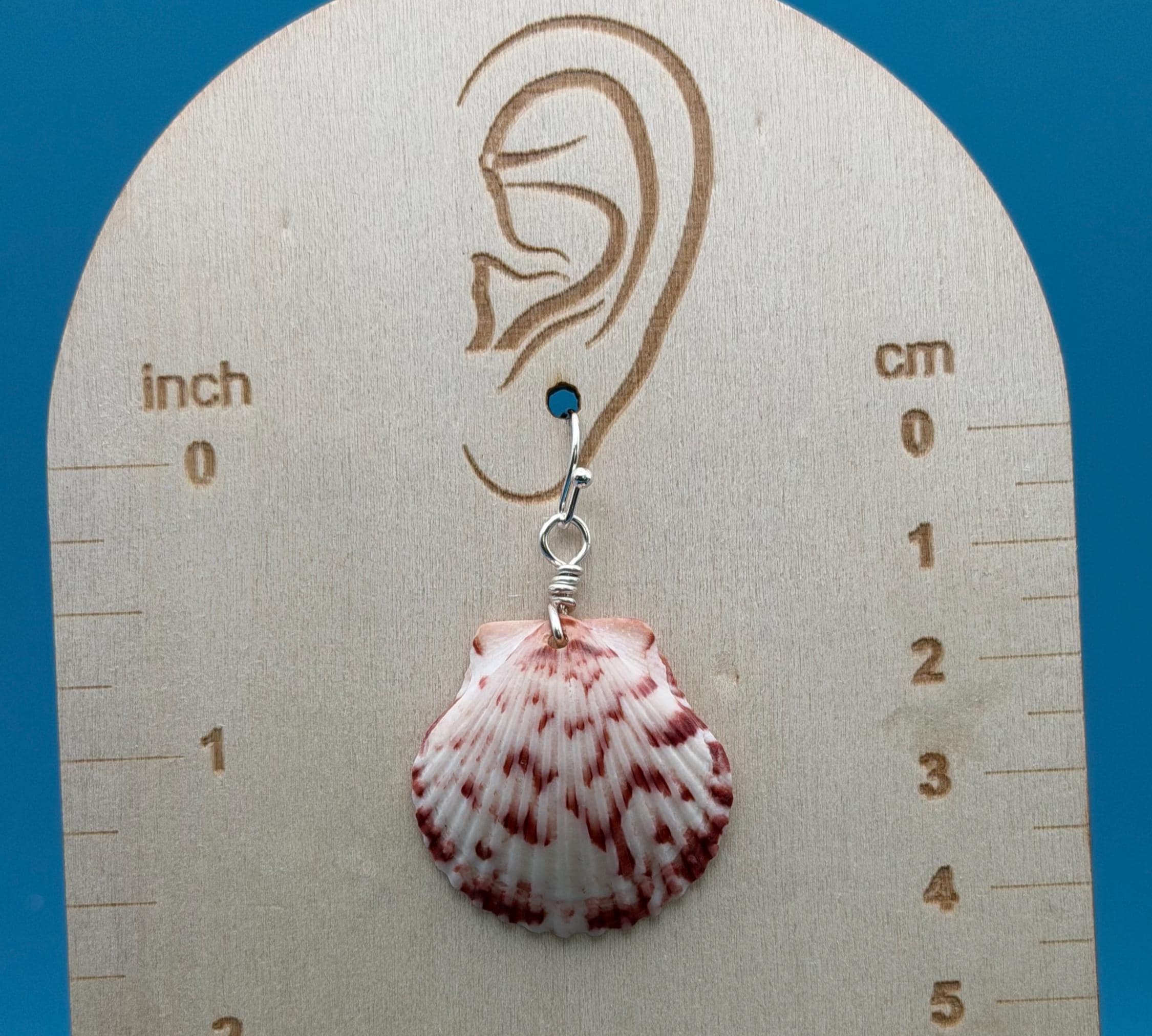 Handmade Scallop Shell Earrings | Florida Beach Jewelry, Ocean Inspired Keepsakes