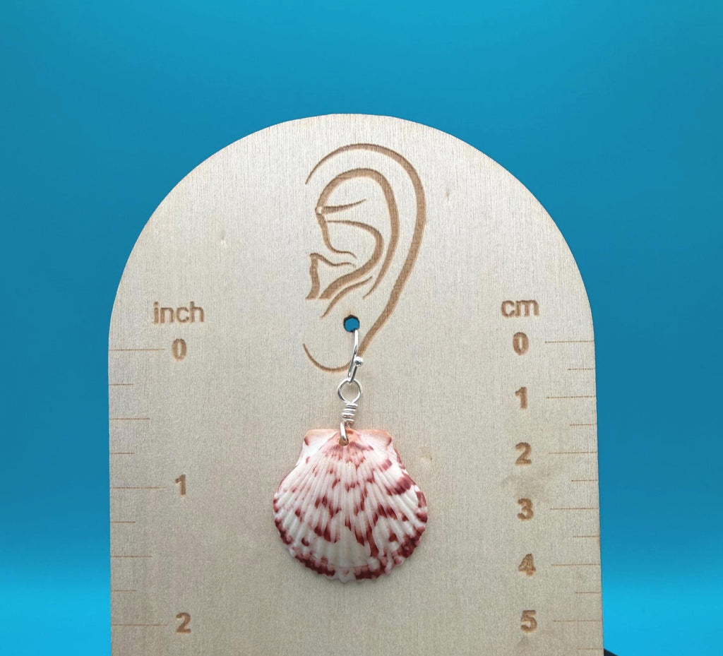 Handmade Scallop Shell Earrings | Florida Beach Jewelry, Ocean Inspired Keepsakes