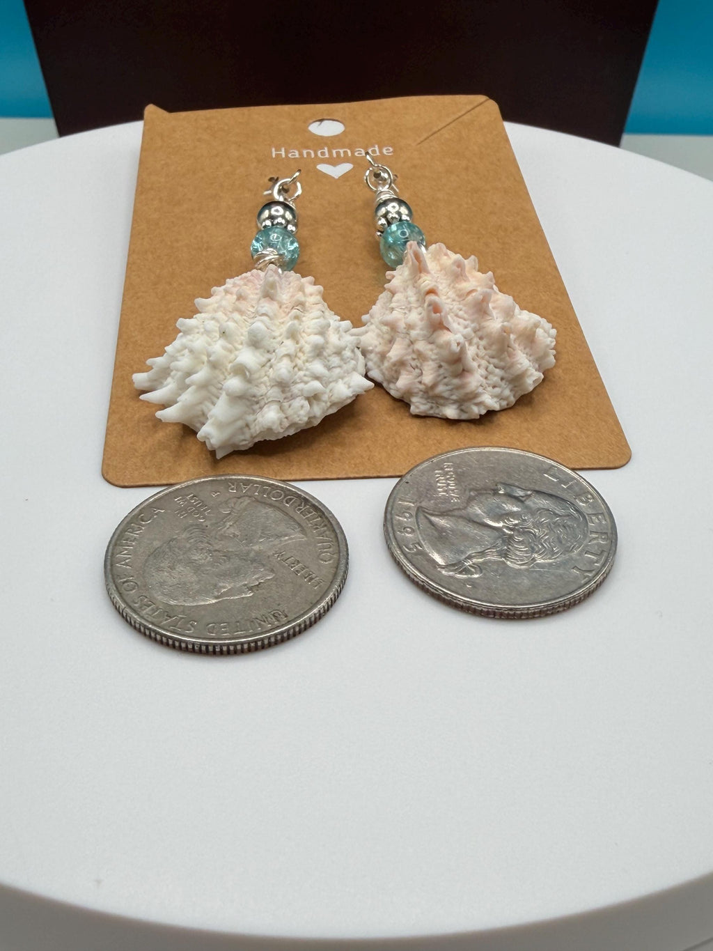 Handmade Florida Spiny Jewel Box Shell Drop Earrings With Aqua Beads