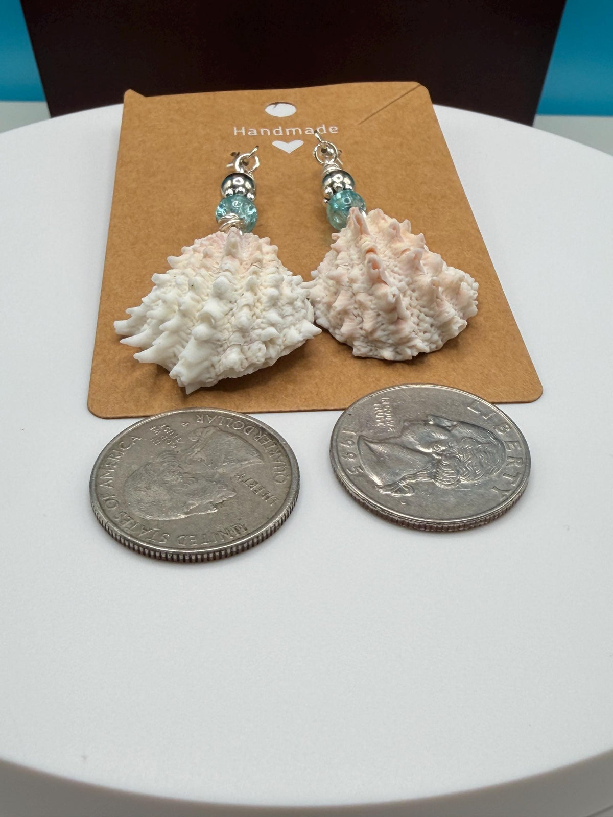 Handmade Florida Spiny Jewel Box Shell Drop Earrings With Aqua Beads
