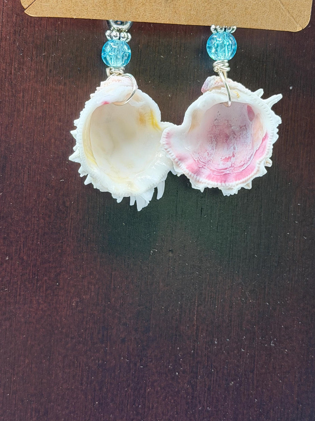 Handmade Florida Spiny Jewel Box Shell Drop Earrings With Aqua Beads