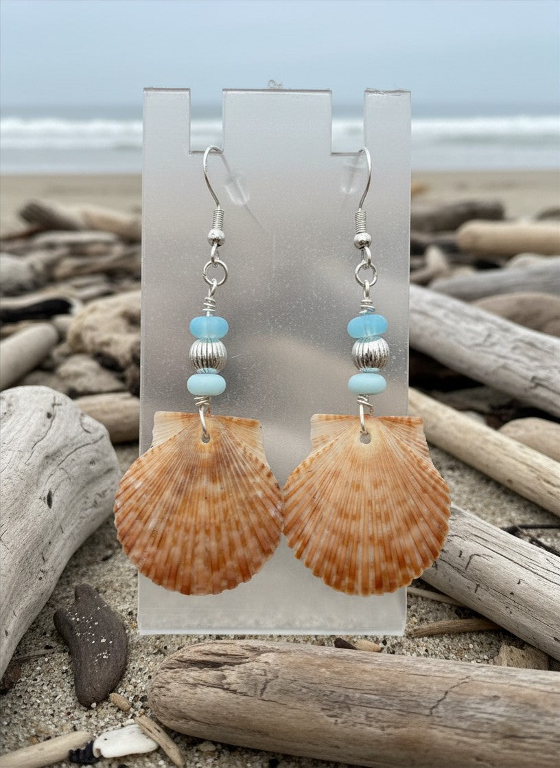 Blue Opal Shore – Scallop Shell & Sky Blue Opal Earrings on Silver Ear Wires