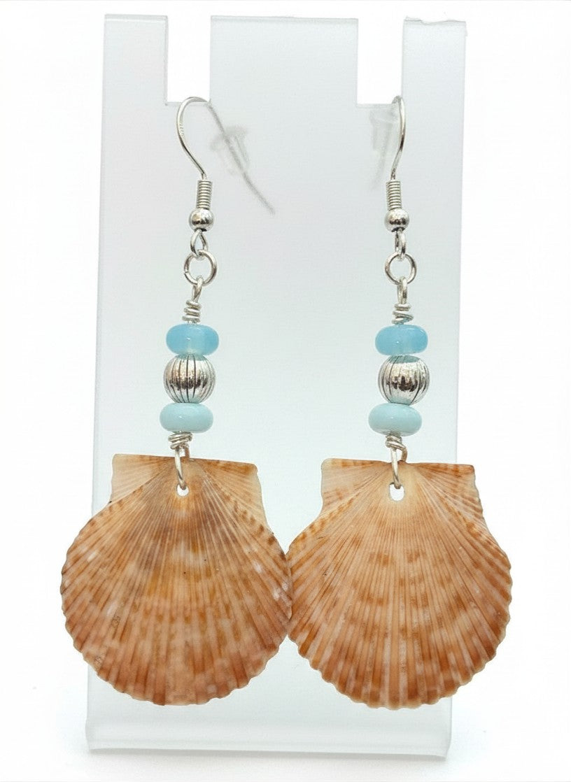 Blue Opal Shore – Scallop Shell & Sky Blue Opal Earrings on Silver Ear Wires