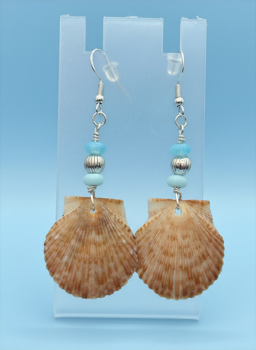 Blue Opal Shore – Scallop Shell & Sky Blue Opal Earrings on Silver Ear Wires