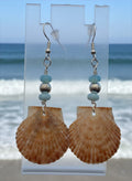 Blue Opal Shore – Scallop Shell & Sky Blue Opal Earrings on Silver Ear Wires