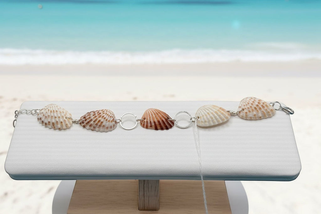 Shoreline Keepsakes cardita shell bracelet with cream and brown shells linked by silver rings on a display stand.