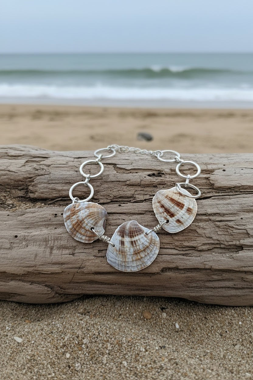 Shoreline Keepsakes seashell link bracelet with natural patterned shells and silver-tone hardware on driftwood.