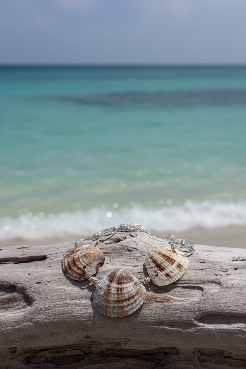 Shoreline Keepsakes seashell link bracelet with silver-tone hardware resting on driftwood against a tropical beach.